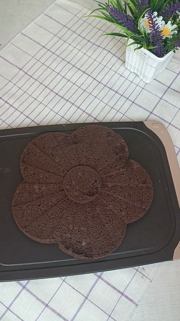 Торт жёсткого ППшника