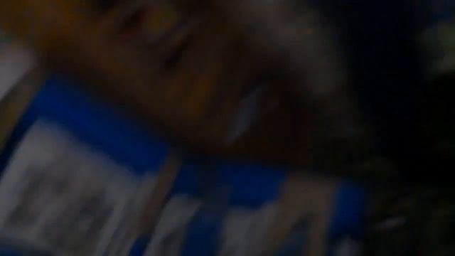 Со мною всё нормально , просто я немножечко шалю!