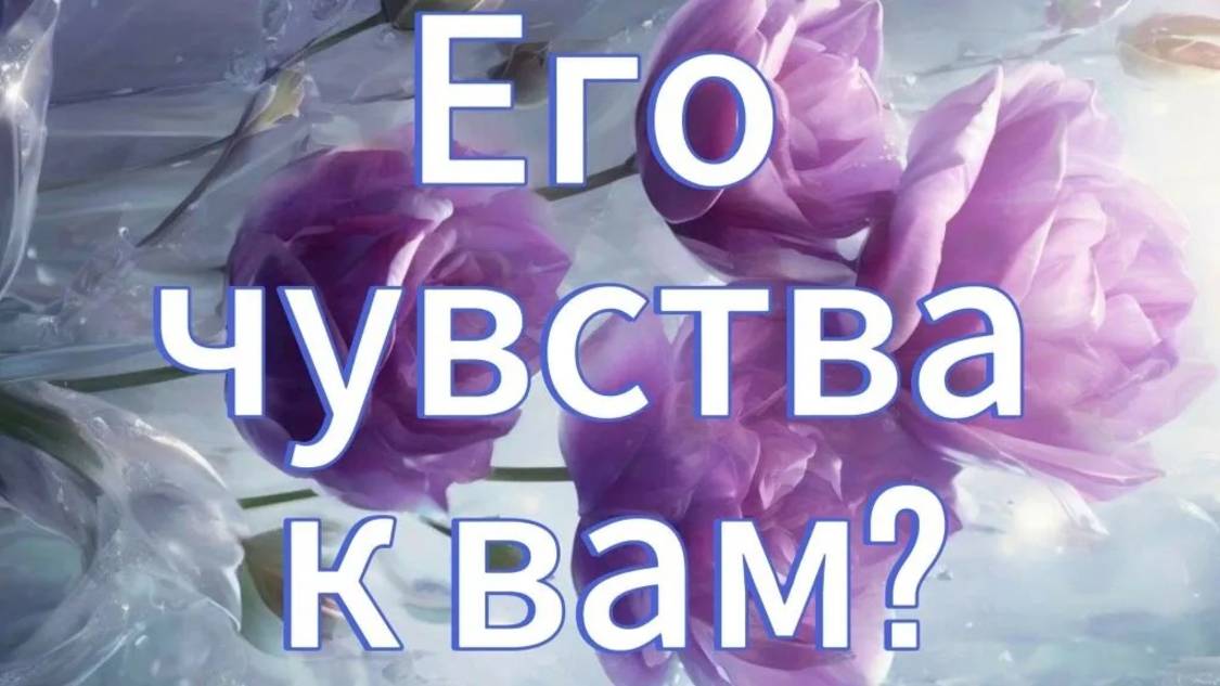 Его чувства к вам? #таро #чувства