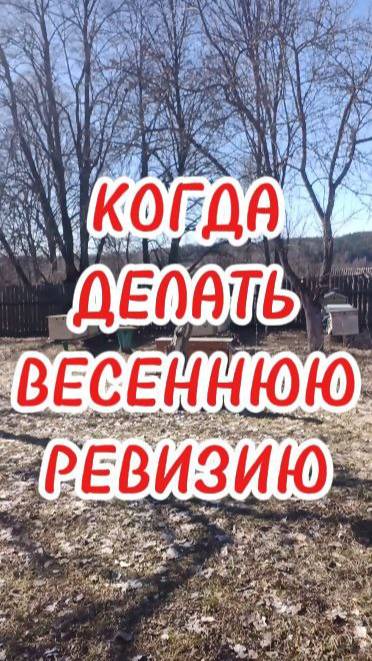 КОГДА ДЕЛАТЬ ВЕСЕННЮЮ РЕВИЗИЮ НА ПАСЕКЕ