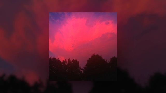 phloral. - anxious journey. (Phonk + Drum and Bass/Breakcore)