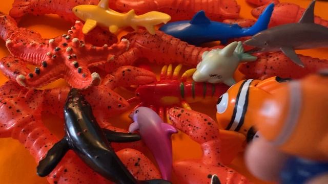 Sea animals -shrimps, clown fish, shark, whale, stingray, and more