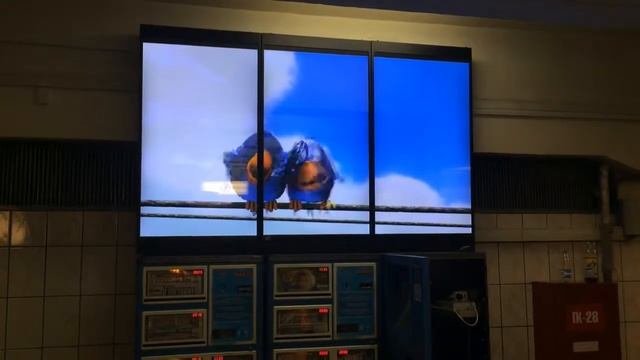 Видеостена Комсомольская