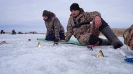 Ловля карася в конце марта Семейная рыбалка весной