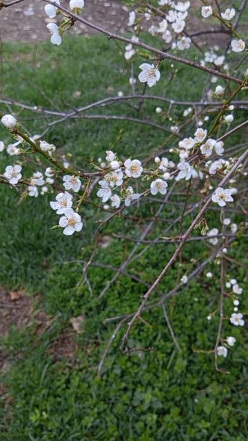 23.03.2025 #сегоднятак #сегодня #природа #nature #oggicosì #бүгін #oggi #hoy #今日 #today #오늘 #자연 #自然