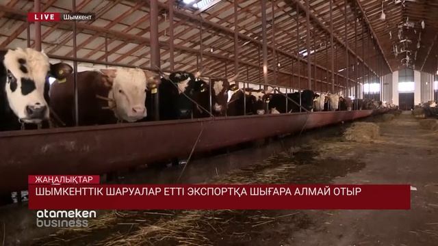 ШЫМКЕНТТІК ШАРУАЛАР ЕТТІ ЭКСПОРТҚА ШЫҒАРА АЛМАЙ ОТЫР