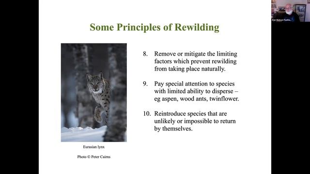Forests and Humanity: What is the Perfect Relationship?