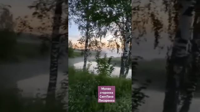 Милая сторонка / авторский стих СветЛаны Писаренко/ #стихи  #россия