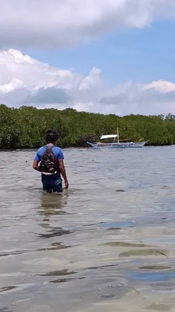 #buhaymandaragat #fishing #palawan #shorts