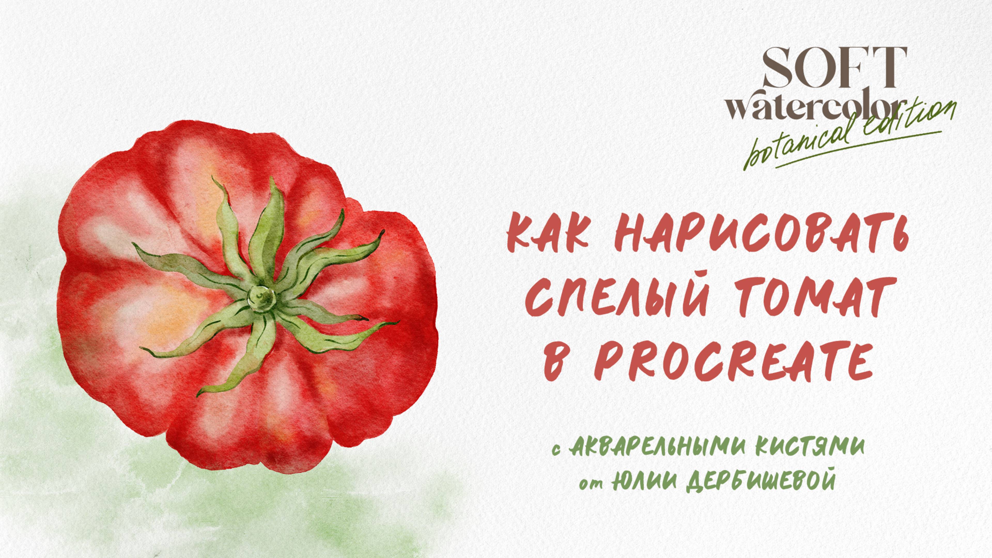 Как нарисовать акварелью в Procreate помидор томат простой урок Прокриэйт