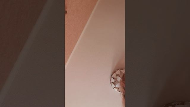 у брата
