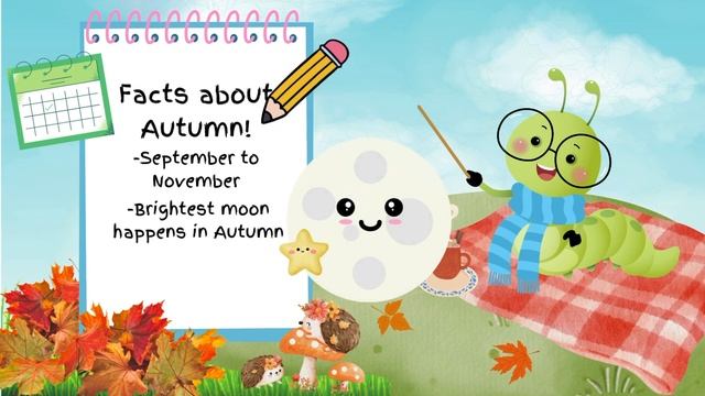 We Made 4 Seasons for Beginners!