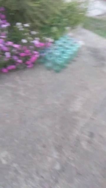 сколько нужно посуды, чтобы кормить бройлеров 300 штук