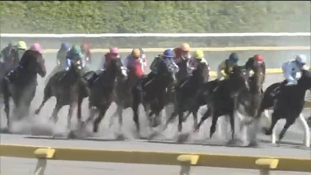 2020.05.17 Seiryu Stakes (JPN) - Dieu du Vin