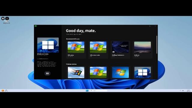 win 11 роро