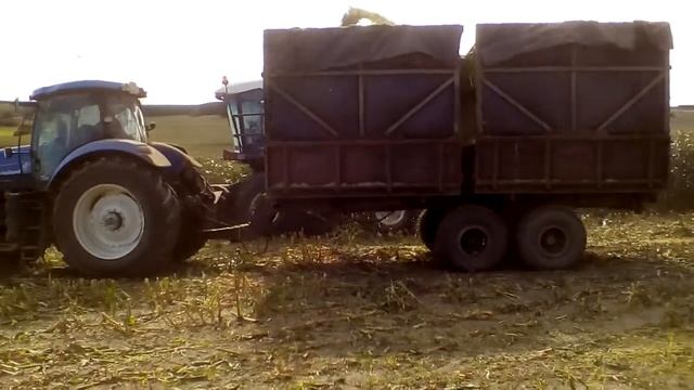 Колхоз (Кривое дышло)заготовка силоса