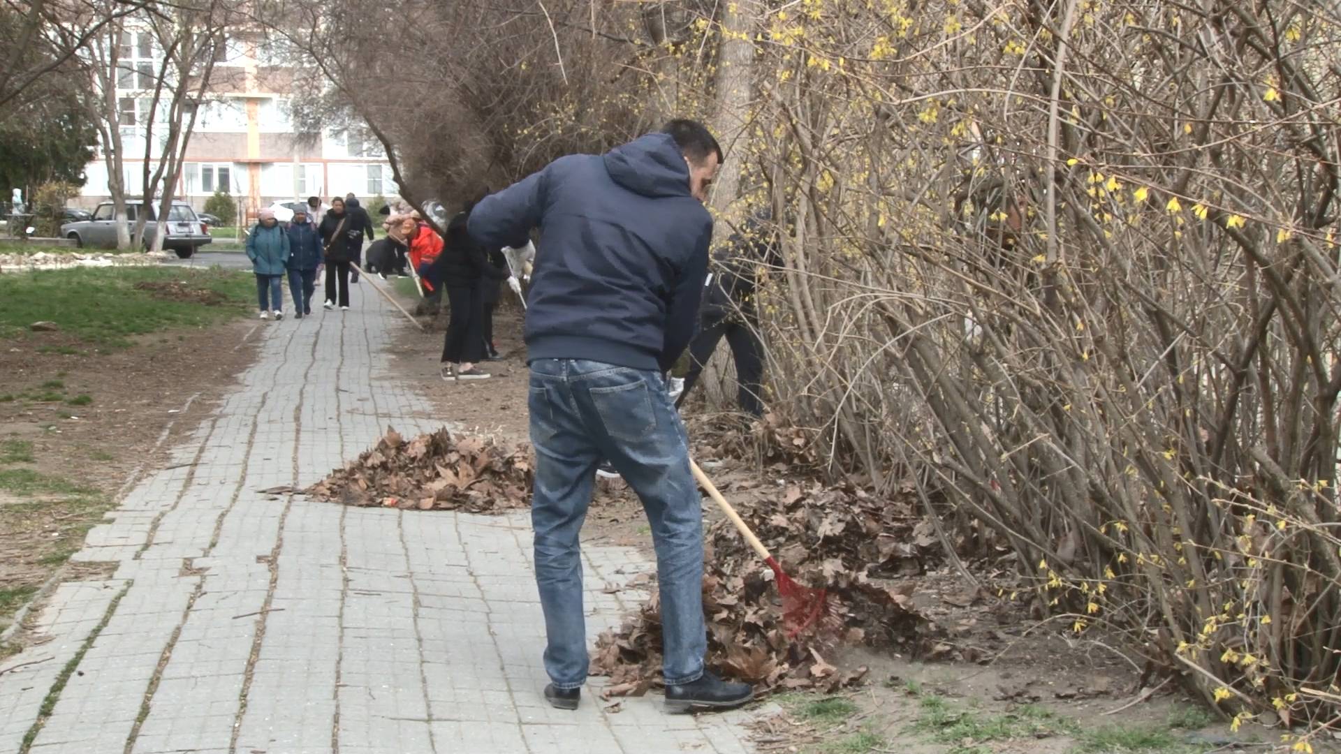 В Анапе стартовала серия городских субботников