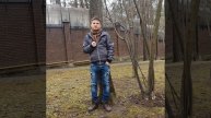 Дрессировка, свисток в дрессировке.
