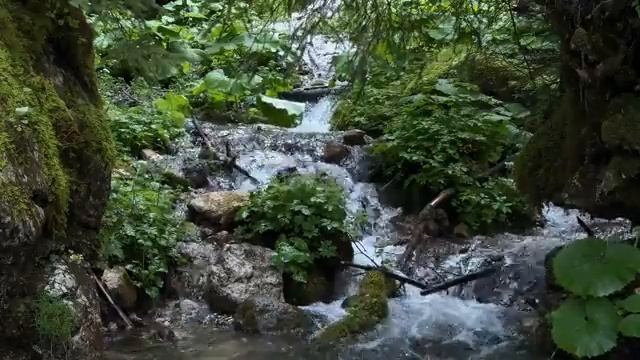 Глубокий сон в Божьем присутствии. Звук тихого водопада. Библия.