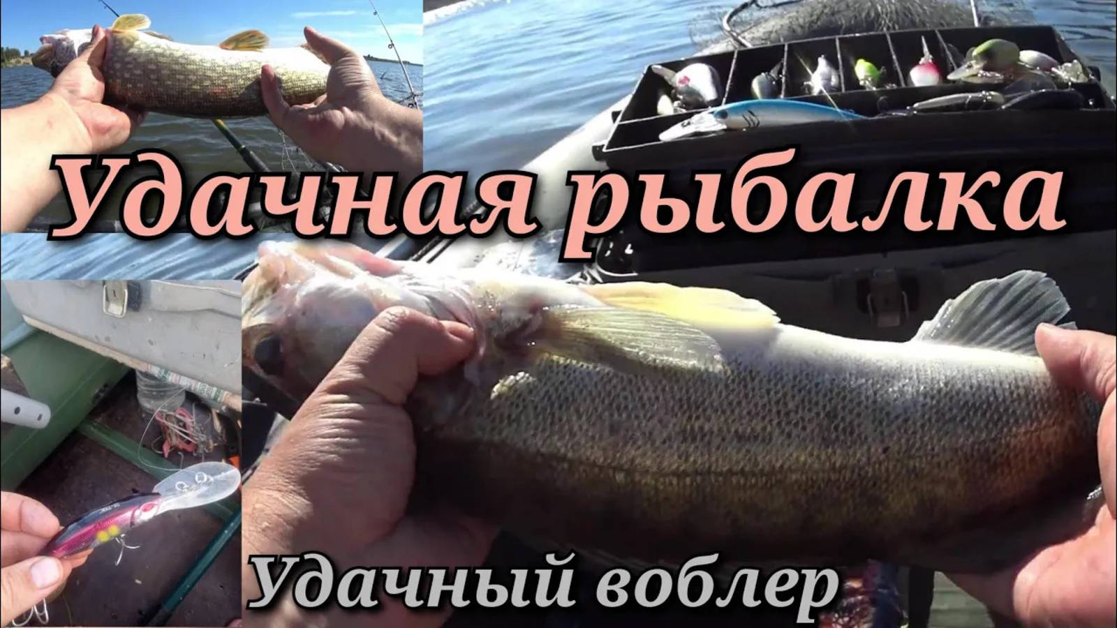 УДАЧНАЯ  рыбалка на ОКЕ в бесклёвье,один воблер сделал рыбалку