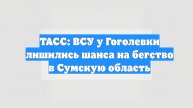 ТАСС: ВСУ у Гоголевки лишились шанса на бегство в Сумскую область