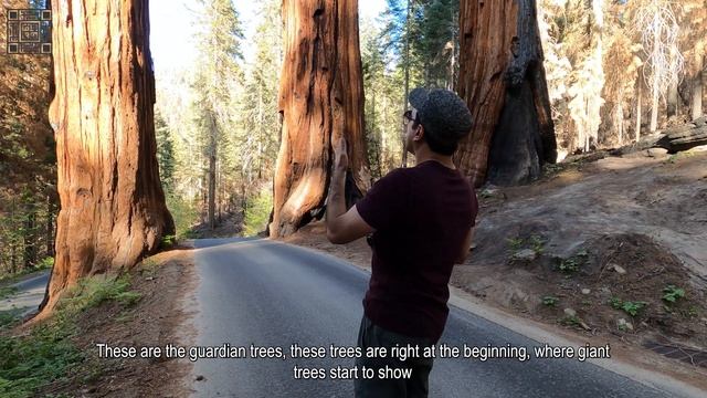 Moro Rock | Tunnel Log | Tunnel Rock | Sequoia National Park - Part-1 (Episode 7)