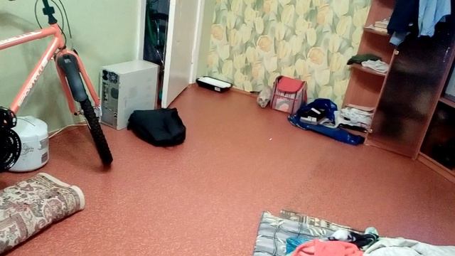 Перси играется с лазерной указкой