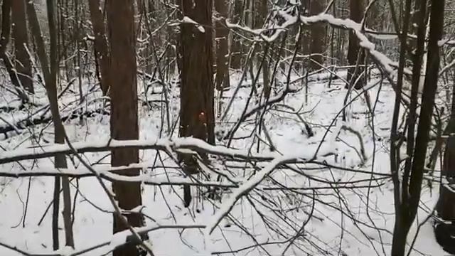 ПРИВЕТСТВУЕМ МАРУ ЗИМУ  ДЛЯ ВСЕХ | ИНГА ХОСРОЕВА | ВЕДЬМИНА ИЗБА |