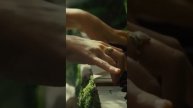 cardigan (Vertical Video)