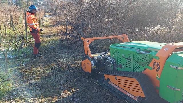 Green climber LV600