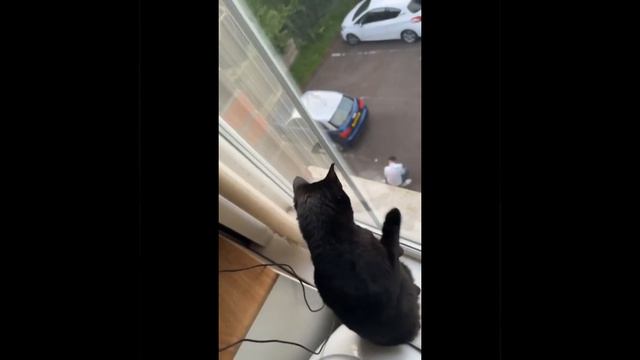 Как ты мог