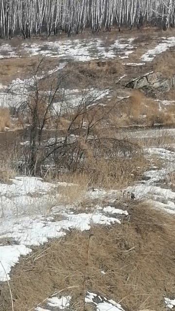 У бабушки деревни смотрим реку карабулка