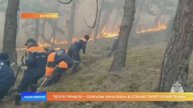 Тепло пришло – пожары начались: в стране горят сухие травы