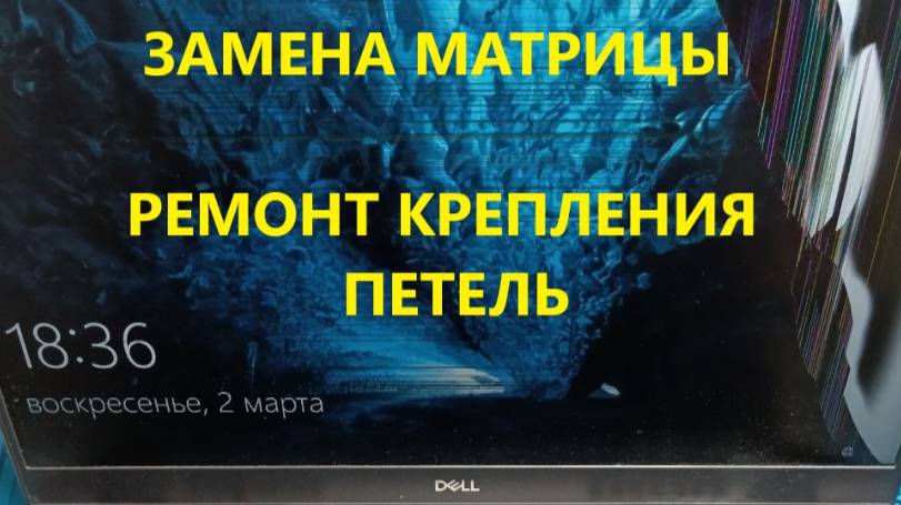 Ноутбук DELL Latitude 5401 замена матрицы. Ремонт крепления петель.