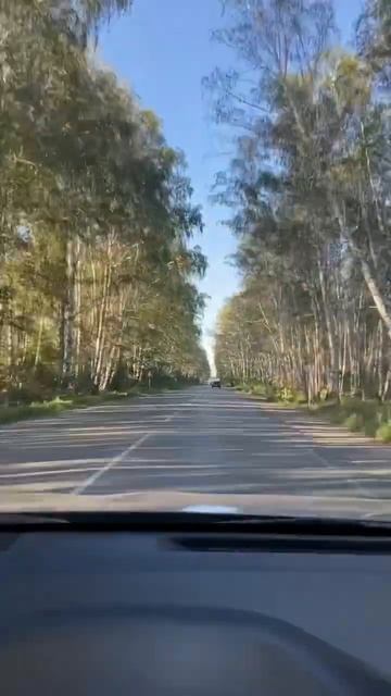 Омская Область