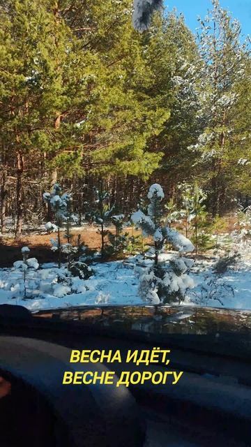 весна идёт, весне дорогу