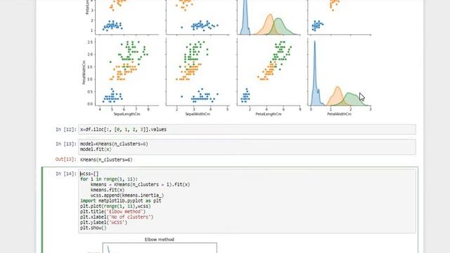 IRIS DATA