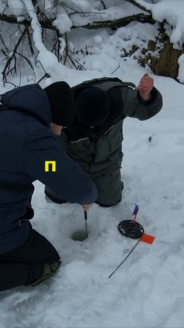 БОЛЬШАЯ ЩУКА #shorts#short
