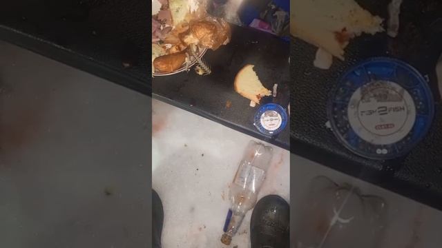 Воркута северный
