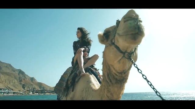 💛 MD Dj - Desert Rose (Sting Cover)