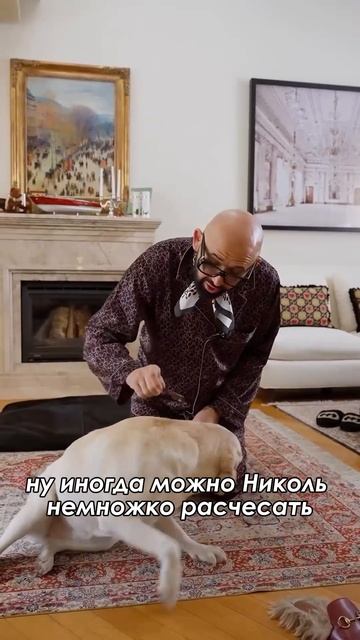 Николь, Ну посмотри что ты наделала! Николай Василенко!