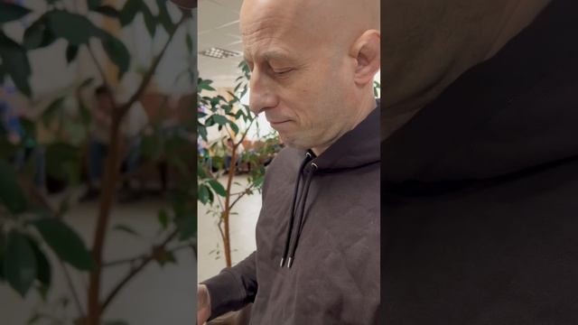 Андерс сдал экзамен и получил российские права