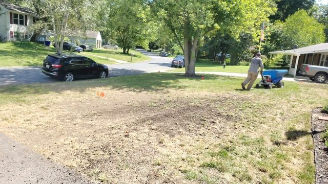 Topdressing and Applying Lime with Ecolawn ECO 250 Topdresser