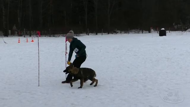 19.02.2022 г. / Большие гонки "Моя собака" / Червач Светлана и Мускат