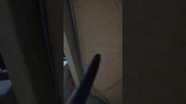 1 часть покупки с Даней