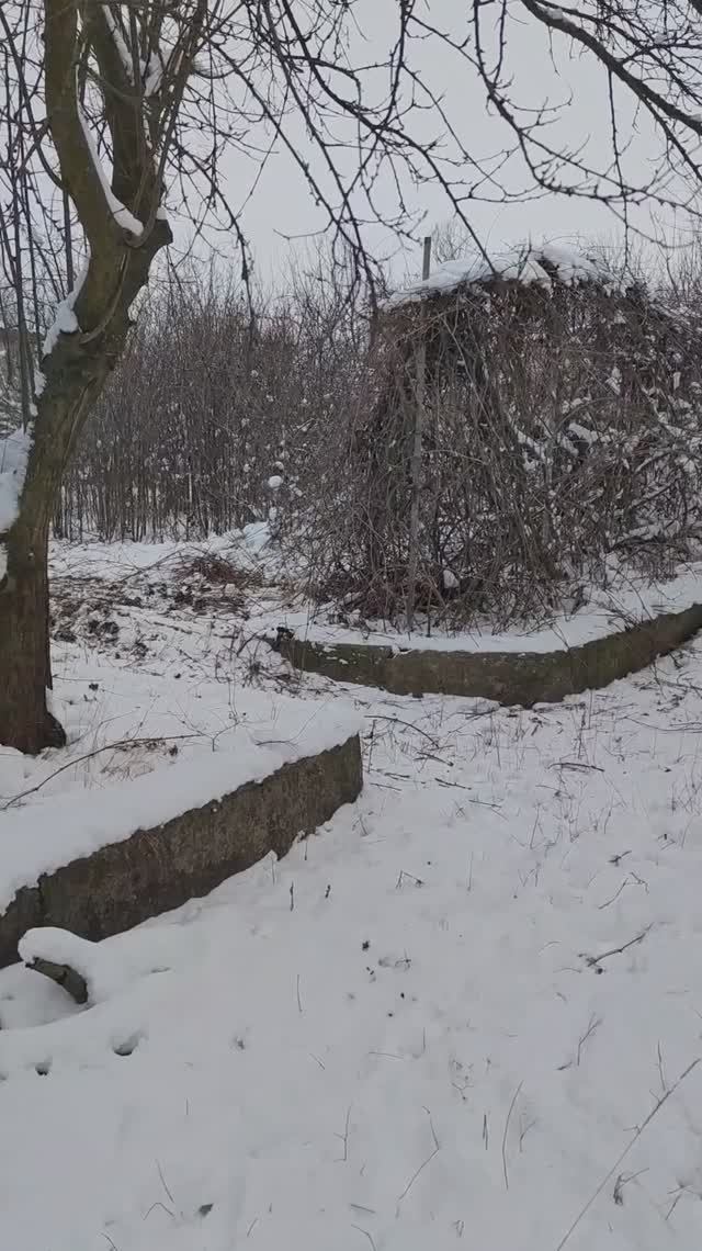 Дом детства