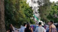 FERIA DE LA PEREGRINA DE PONTEVEDRA DE 2019