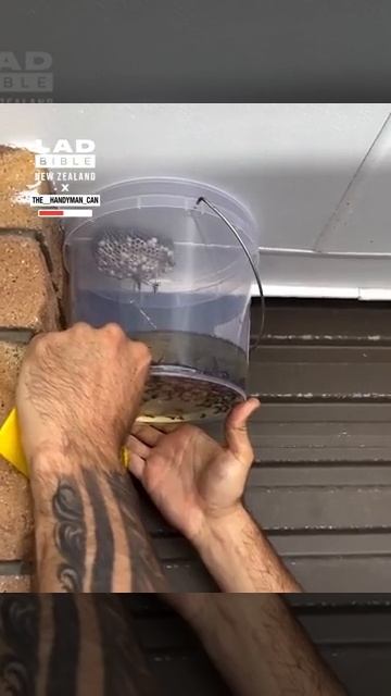Removing a wasp nest with gasoline.