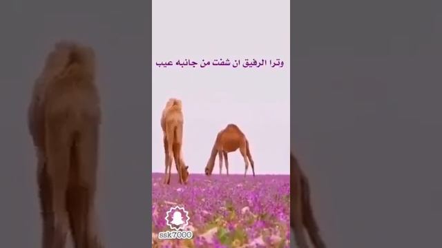 ١١ سبتمبر، ٢٠١٩