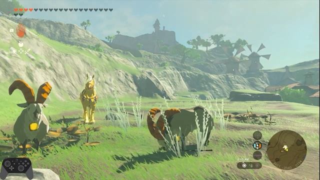 New CRAZY and maybe SIMPLE goat ITEM DUPLICATION GLITCH | Tears of the Kingdom